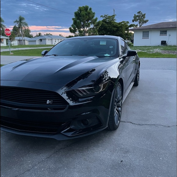 Meet your Posher, Kevin - Picture 1 of 1